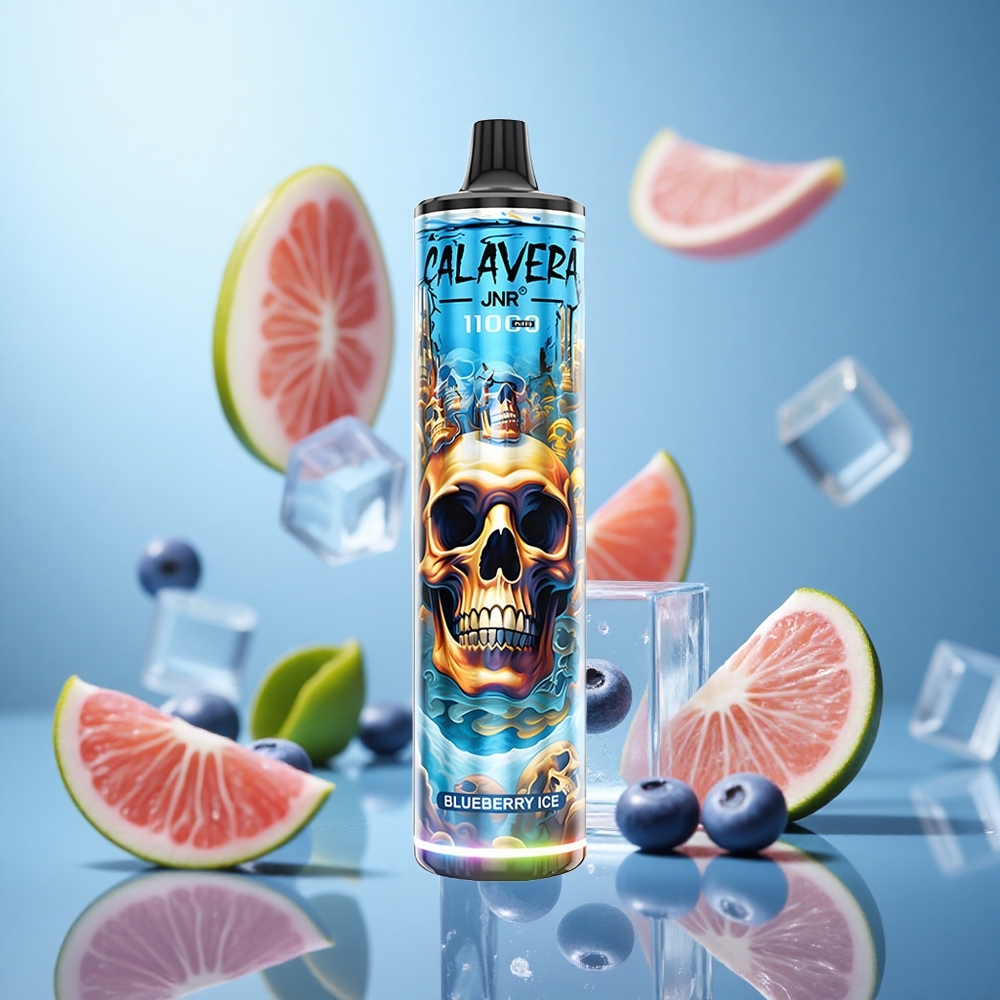 Borovnica Led JNR Calavera 11000 Puffs Tip-C port za punjenje 21ml Kapacitet tečnosti wholesale Serbia