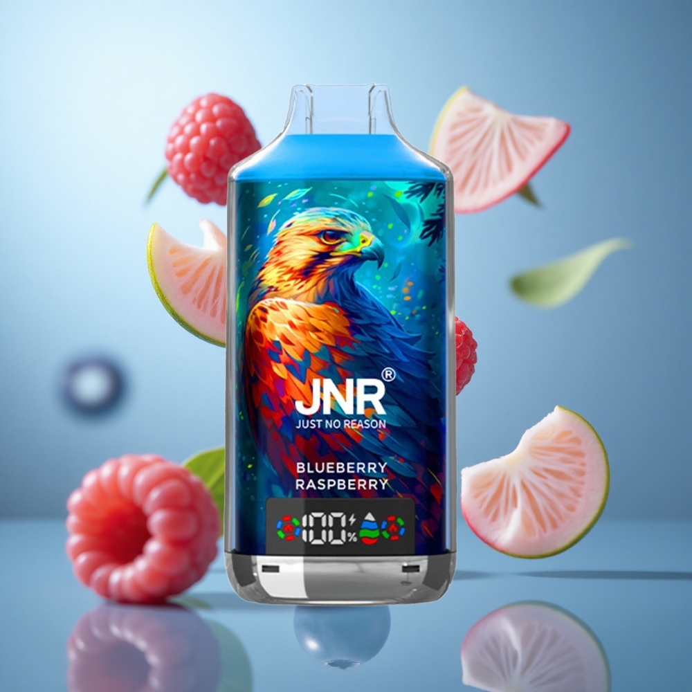 Borovnica Malina JNR Falcon X 18000 Pufova 24ml Tecnost 750mAh Baterija wholesale Serbia