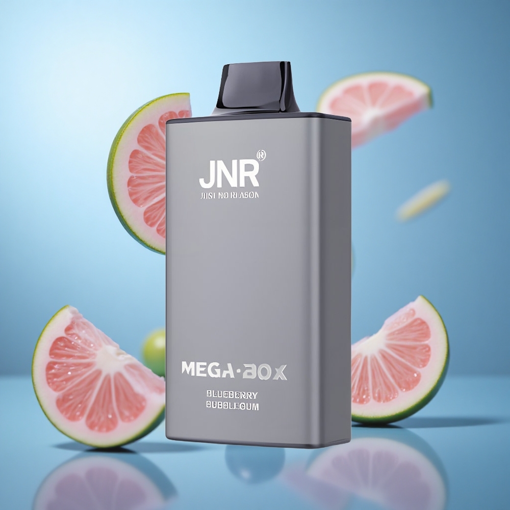 Borovnica žvakaća guma JNR Mega Box 25000 pufova 30ml kapacitet tečnosti wholesale Serbia