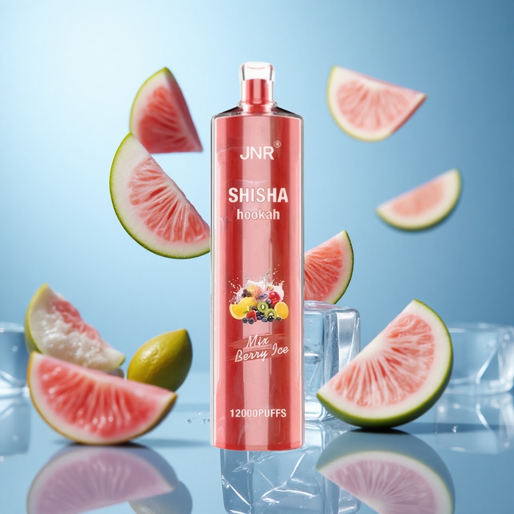 Бобица лед JNR Shisha Hookah 12000 пуфова 24ml течност 750mAh батерија wholesale Serbia