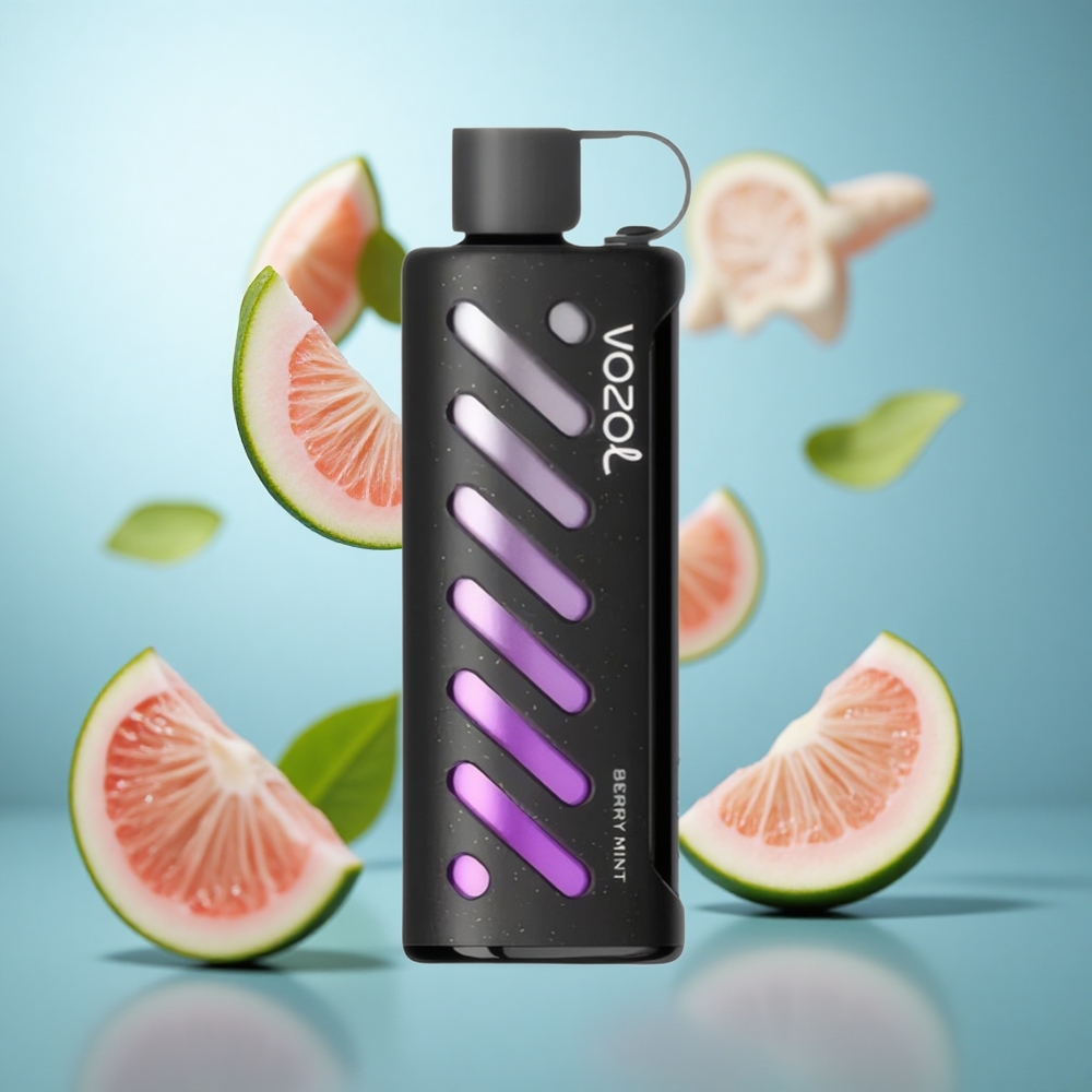 Bobi nana met VOZOL Gear Shisha 25000 Puffova Dual Mesh Dual Modes 1000mAh wholesale Serbia