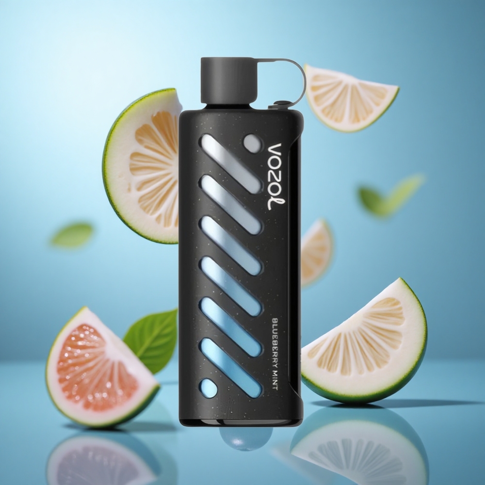 Boravka Mentol VOZOL Gear Shisha 25000 Puffs Dual Mesh Dual Modes wholesale Serbia