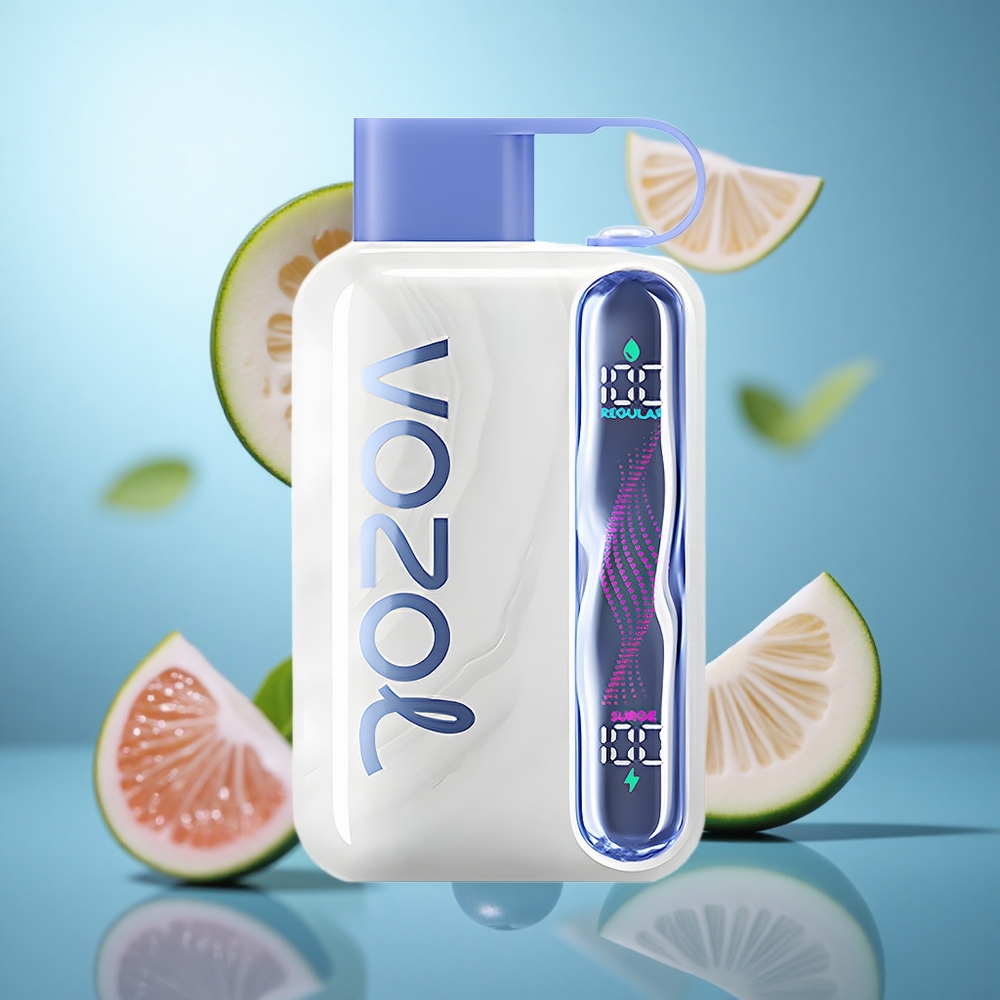 Boravka mentol VOZOL STAR 40000 Puffs Једнократни Вапе baterija 1000mAh nikotin 20/50mg/ml wholesale Serbia