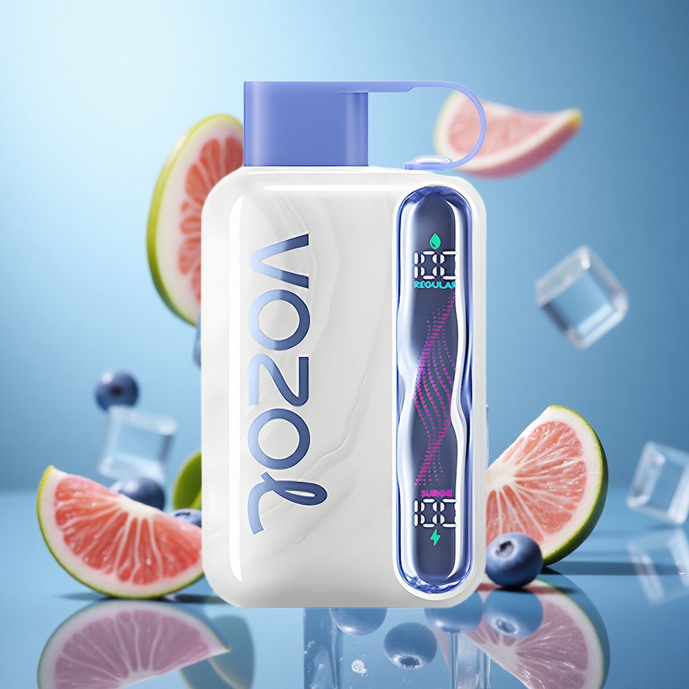 Borovnica led VOZOL STAR 40000 Puffs Једнократни Вапе baterija 1000mAh punjenje Type-C wholesale Serbia