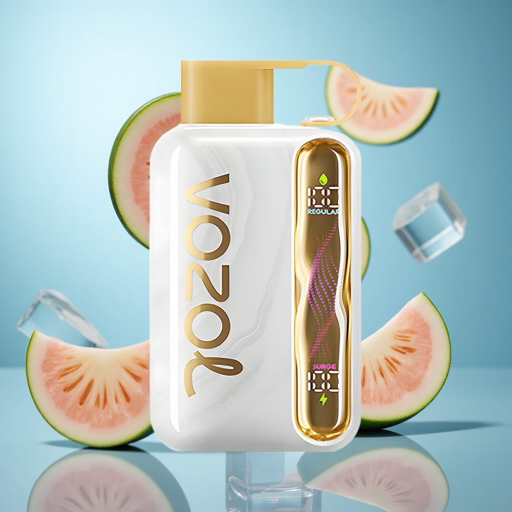 Dinja led VOZOL STAR 40000 Puffs Једнократни Вапе 1000mAh baterija 20/50mg/ml nikotina Type-C punjenje wholesale Serbia